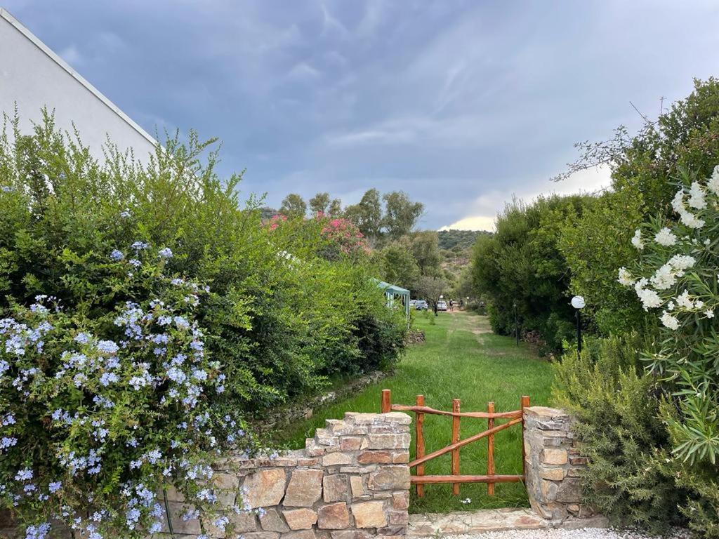 Villa Gegi Будони Екстериор снимка